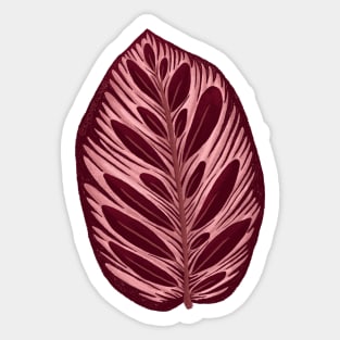 Calathea Makoyama Leaf Sticker